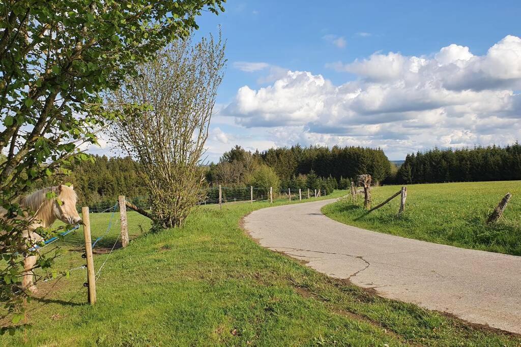 Le Chalet Des Oisai Wibrin Kültér fotó